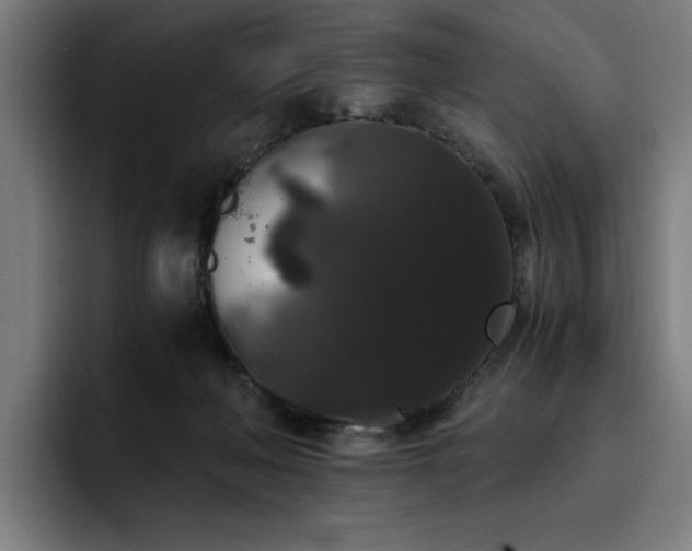 X0000093410222200710121123