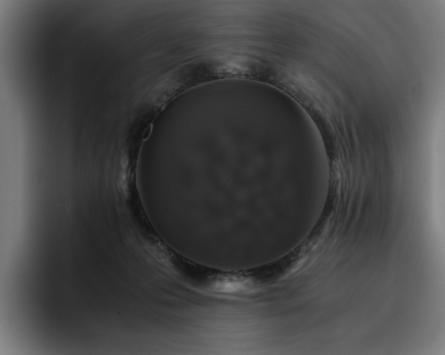 X0000093410223200710121123