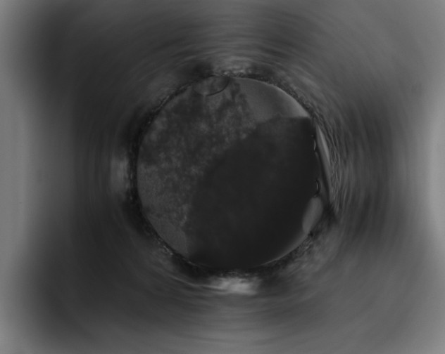 X0000093410224200710121123