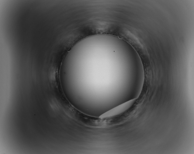 X0000093410225200710121123