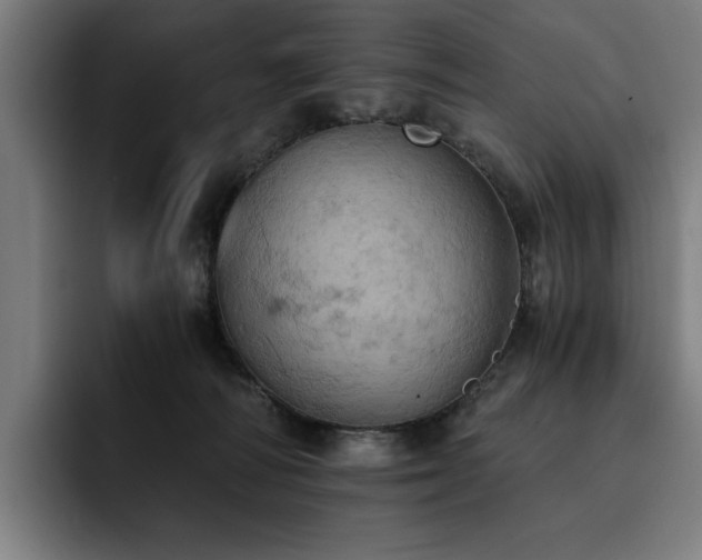 X0000093410226200710121123