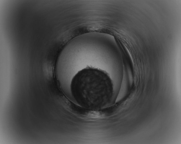 X0000093410227200710121123