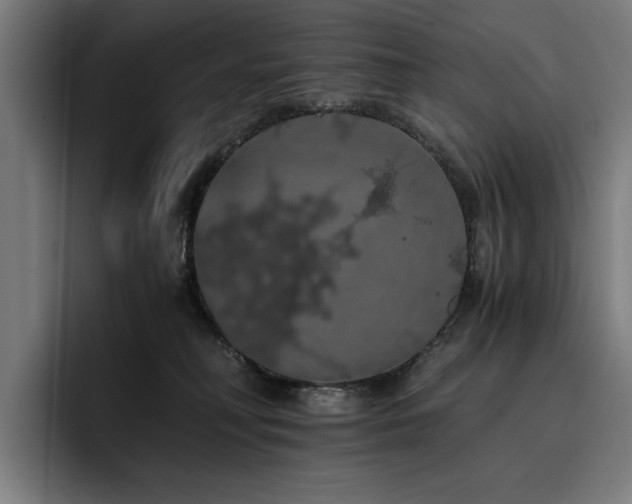 X0000093410230200710121123