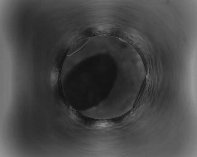 X0000093410231200710121123