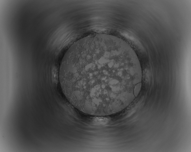 X0000093410234200710121123