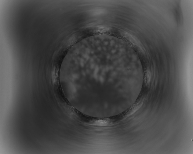 X0000093410236200710121123