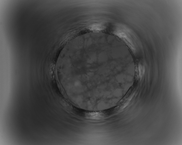 X0000093410237200710121123