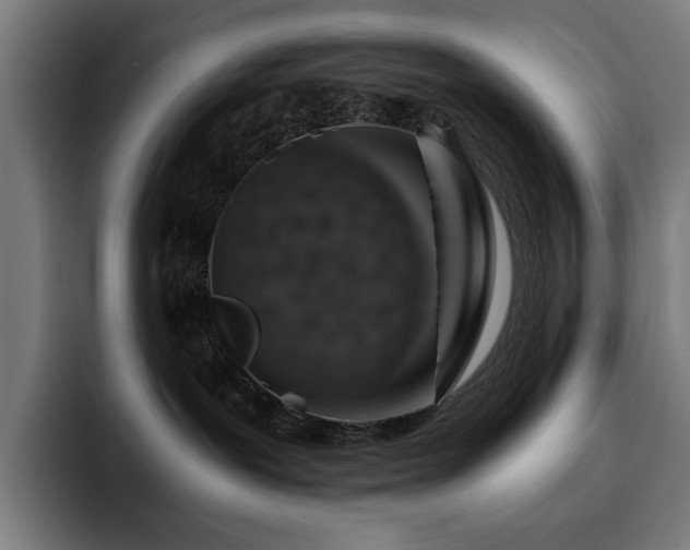 X0000093410239200710121123