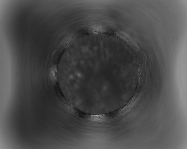 X0000093410240200710121123