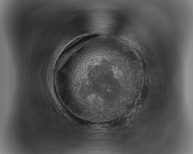 X0000093410241200710121122