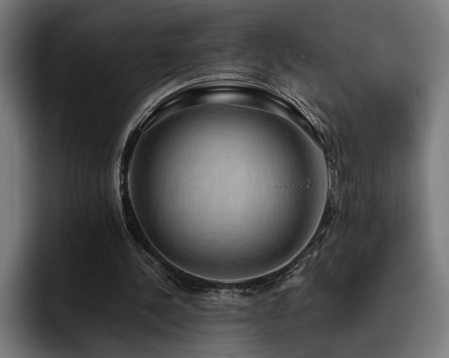 X0000093410244200710121122