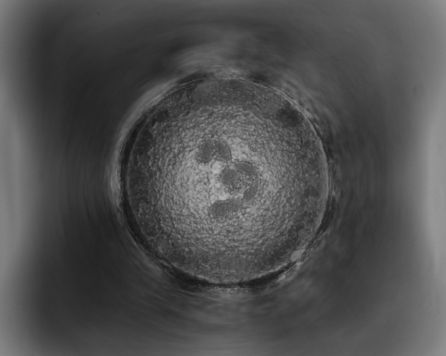 X0000093410245200710121122