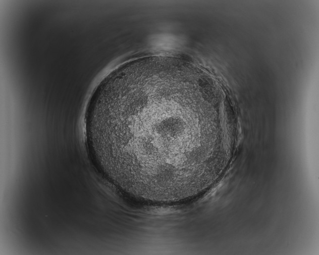 X0000093410246200710121122