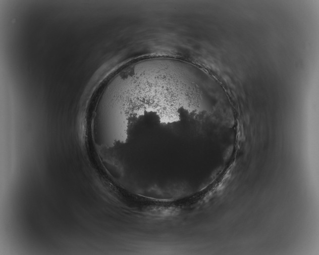 X0000093410247200710121122