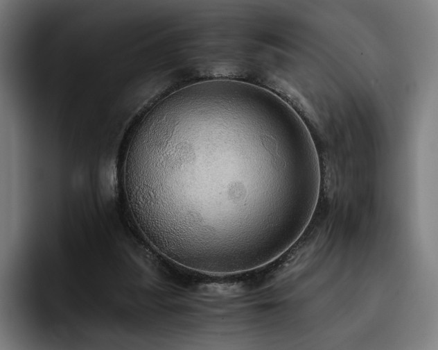 X0000093410251200710121122