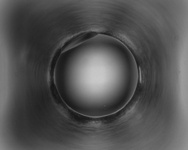 X0000093410252200710121122