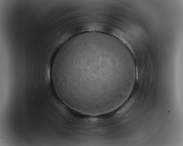 X0000093410253200710121122