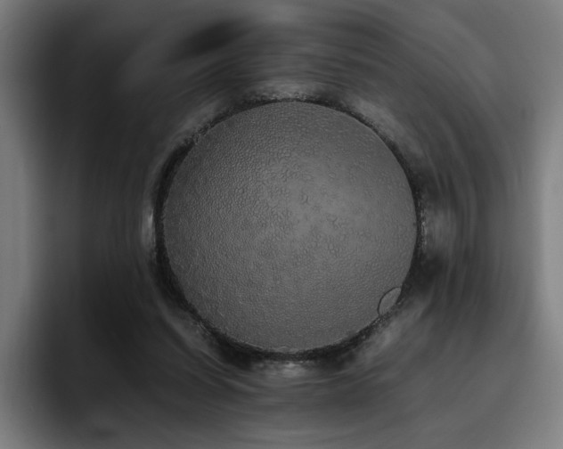 X0000093410254200710121122