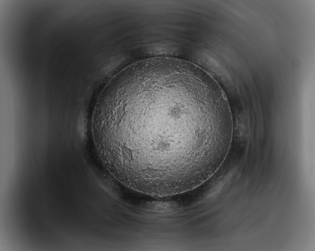 X0000093410255200710121123