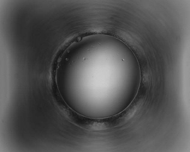 X0000093410256200710121123