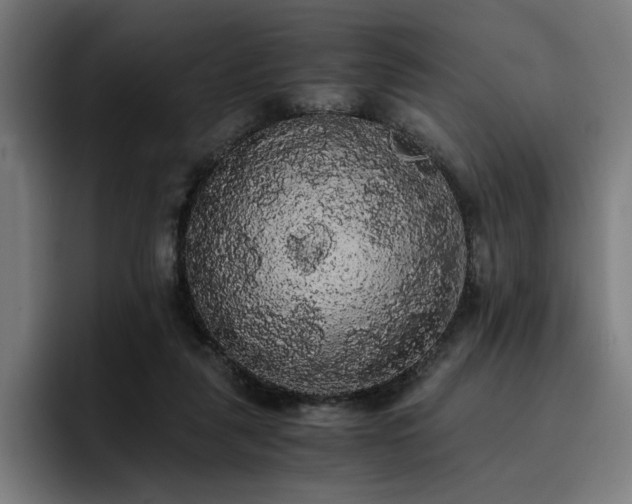 X0000093410259200710121123