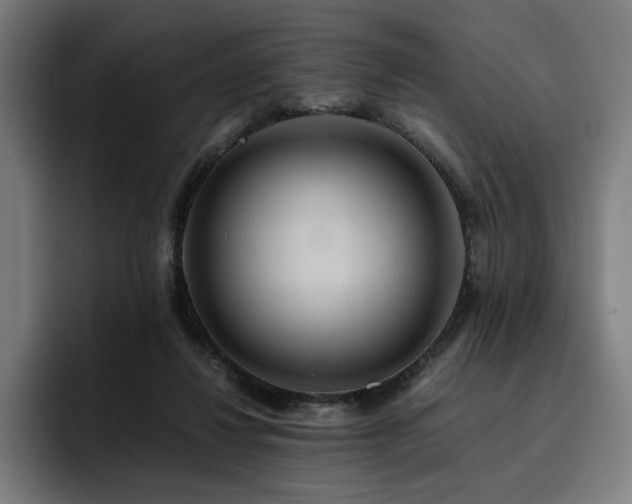 X0000093410260200710121123