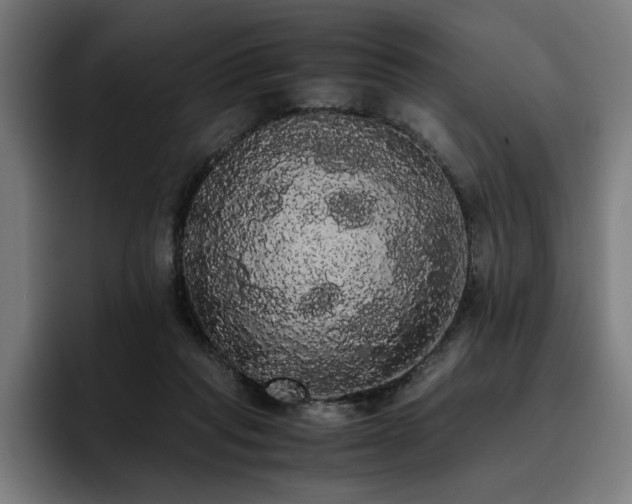 X0000093410261200710121123