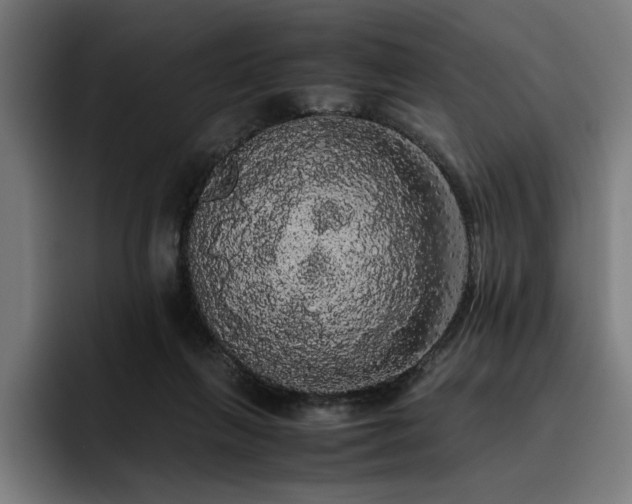 X0000093410263200710121123