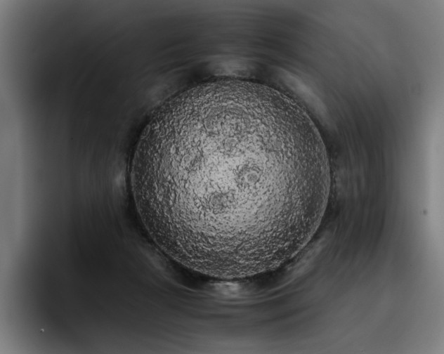 X0000093410265200710121123