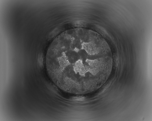 X0000093410266200710121123