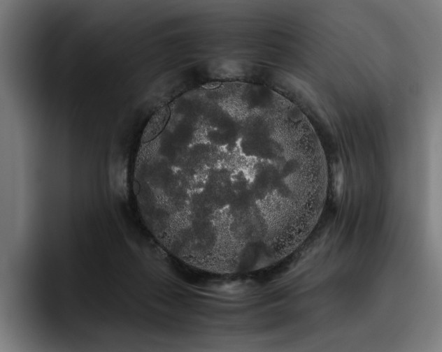 X0000093410267200710121123