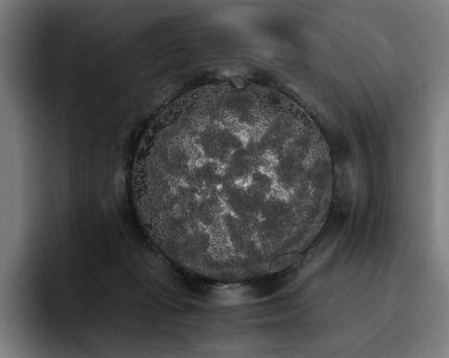 X0000093410269200710121123