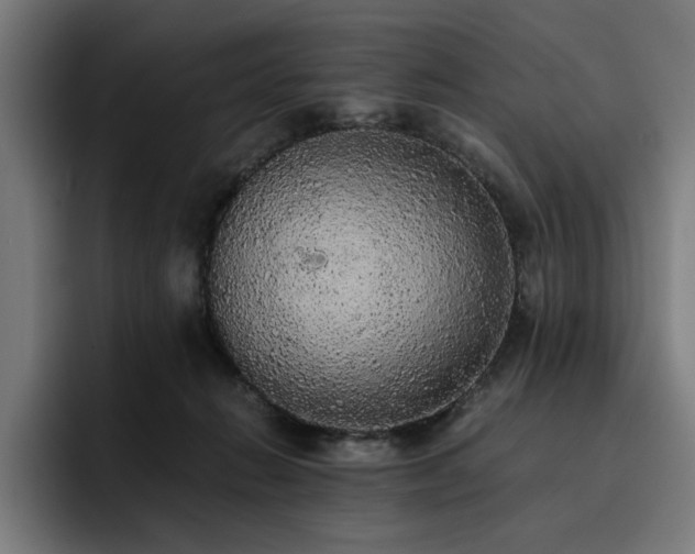 X0000093410270200710121123