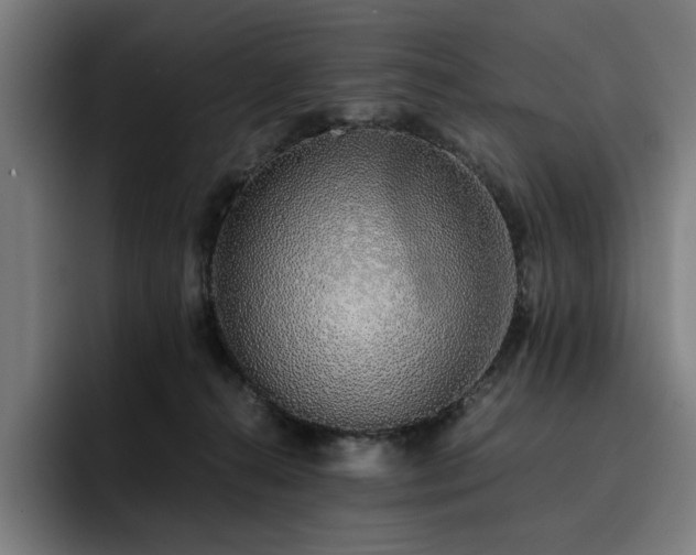 X0000093410272200710121123