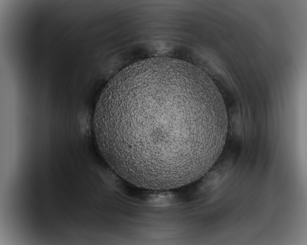 X0000093410274200710121123