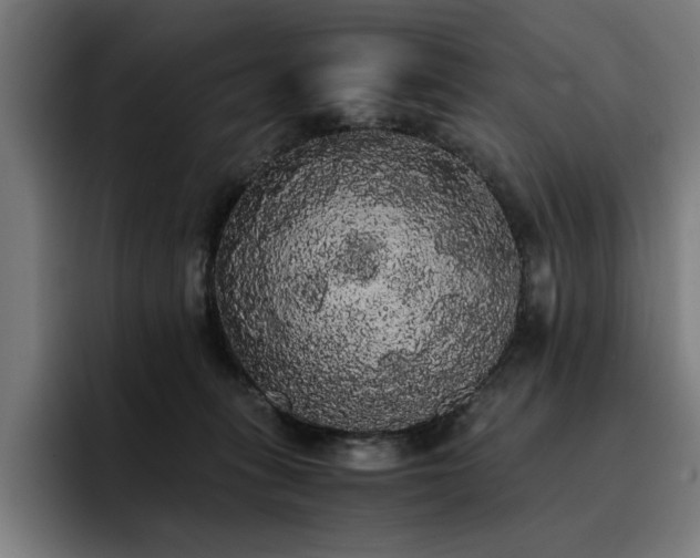 X0000093410275200710121123