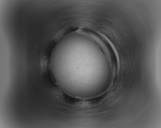 X0000093410276200710121123