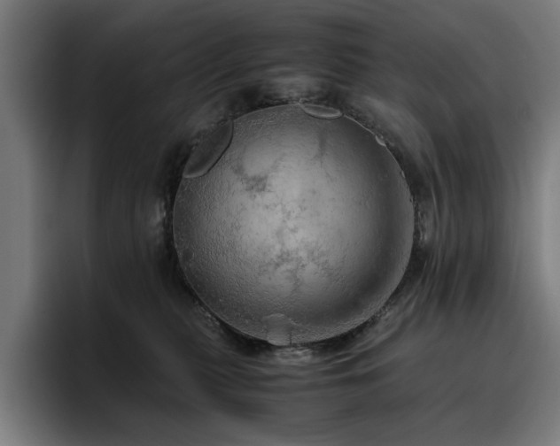 X0000093410279200710121123