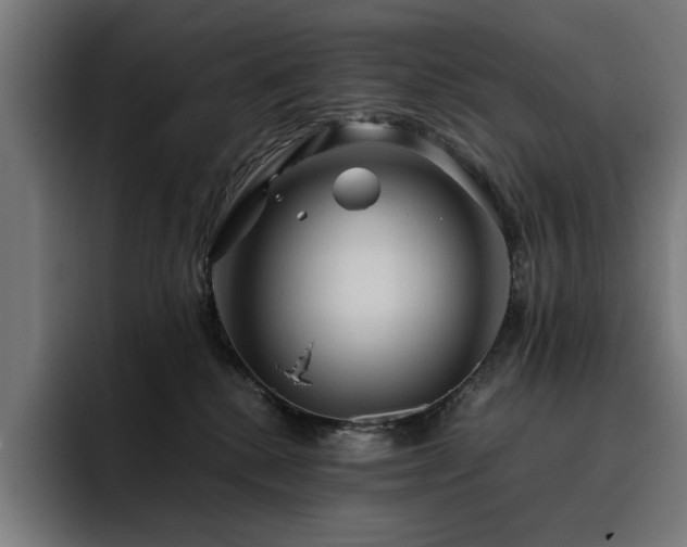 X0000093410280200710121123