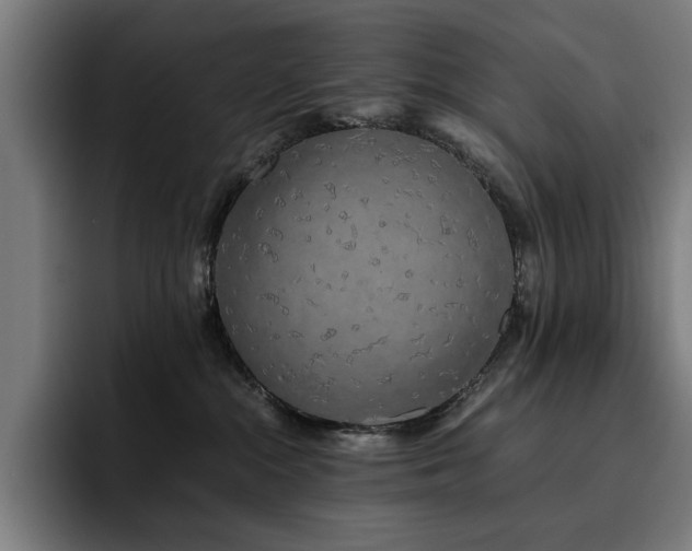 X0000093410284200710121123