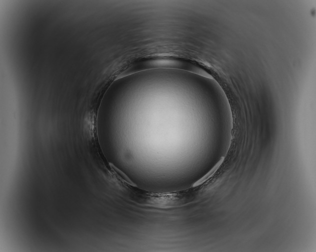 X0000093410288200710121123