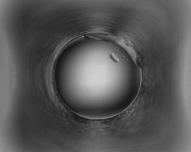 X0000093410289200710121122