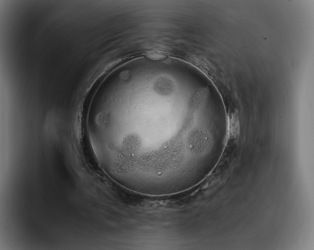 X0000093410291200710121122