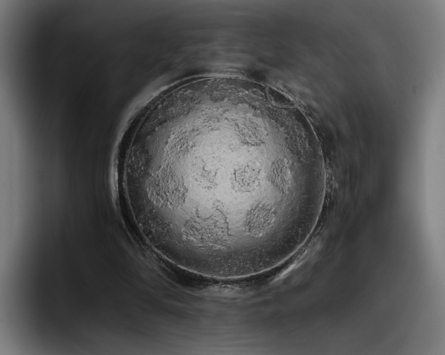 X0000093410294200710121122