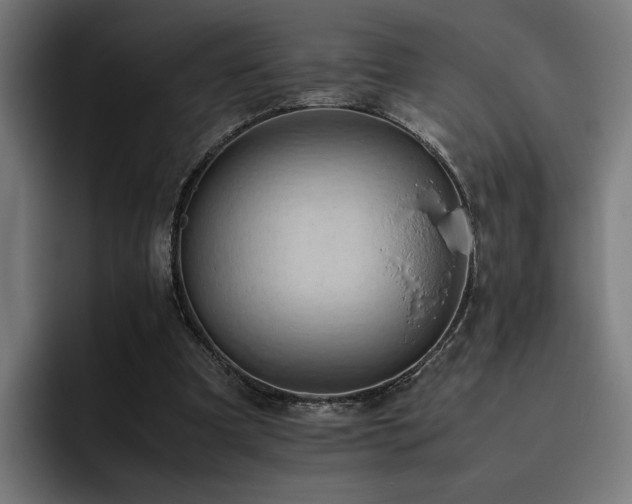 X0000093410297200710121122