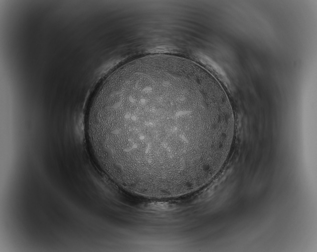 X0000093410298200710121122