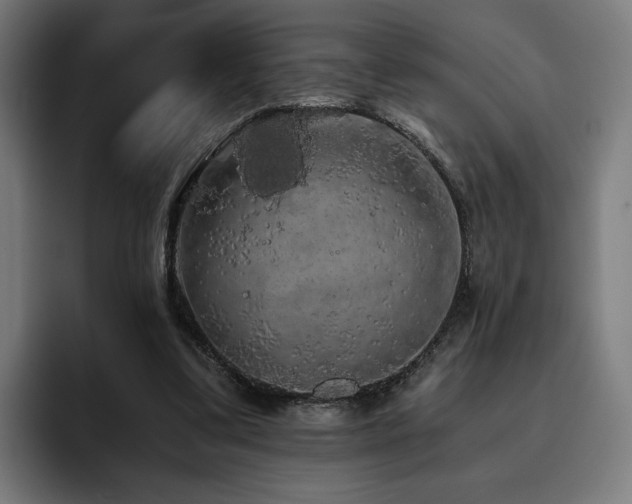 X0000093410299200710121122