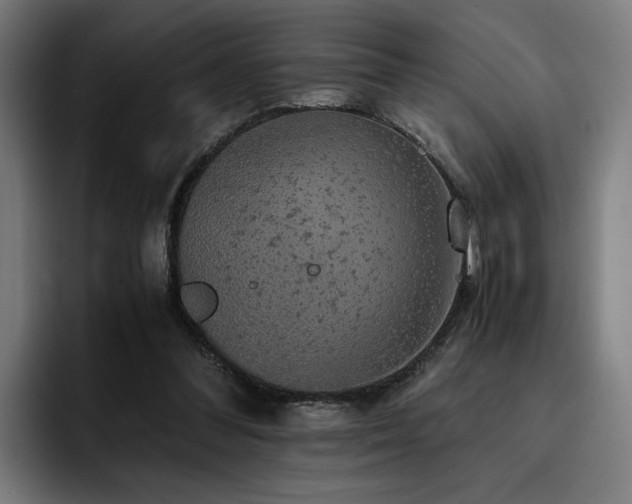 X0000093410300200710121122