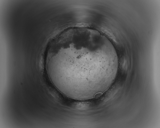 X0000093410303200710121122