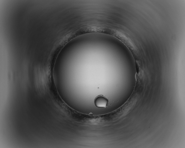 X0000093410306200710121122